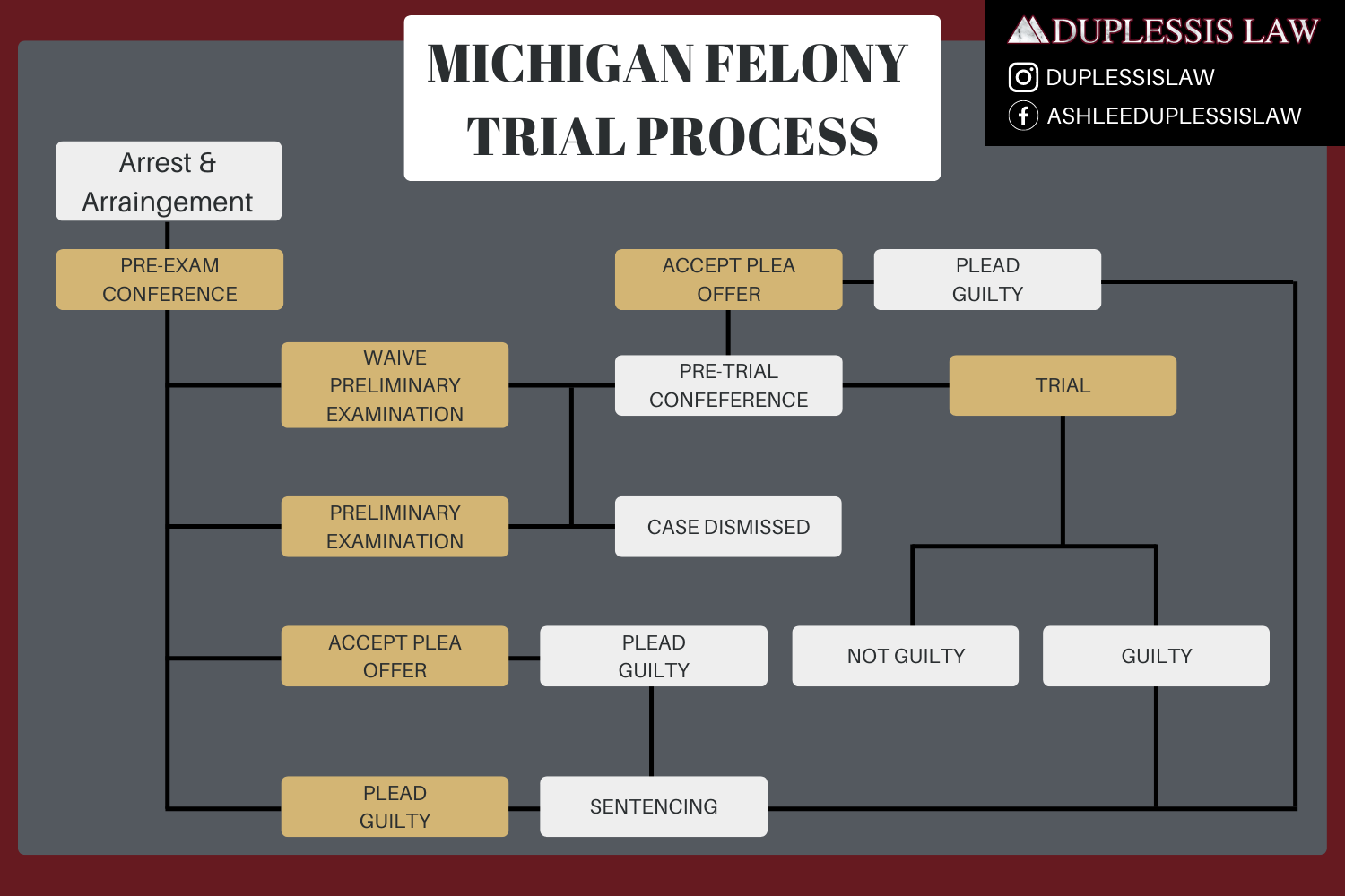 michigan trial process infographic